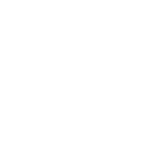 Road Ready NZ white logo
